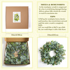 Green Spring Summer Wreath with Olive Leaves & Berries 24"